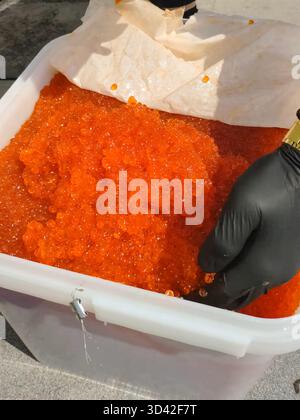 Eier mit einem Handschuher mischen. Roter Kaviar in einem Plastikbehälter. Lachskaviar, Diätkost. Stockfoto