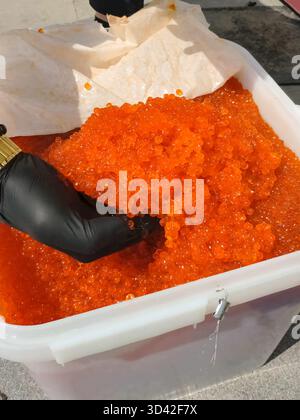 Eier mit einem Handschuher mischen. Roter Kaviar in einem Plastikbehälter. Lachskaviar, Diätkost. Stockfoto