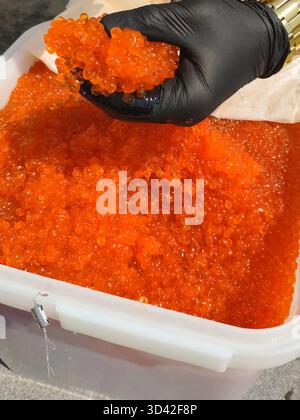 Eier mit einem Handschuher mischen. Roter Kaviar in einem Plastikbehälter. Lachskaviar, Diätkost. Stockfoto