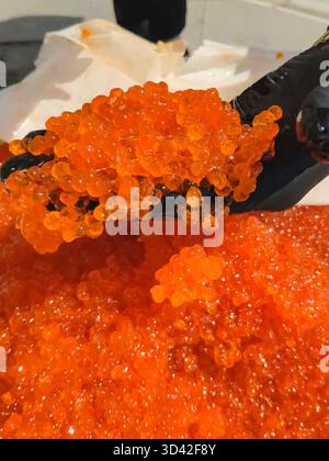 Eier mit einem Handschuher mischen. Roter Kaviar in einem Plastikbehälter. Lachskaviar, Diätkost. Stockfoto