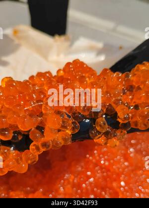 Eier mit einem Handschuher mischen. Roter Kaviar in einem Plastikbehälter. Lachskaviar, Diätkost. Stockfoto