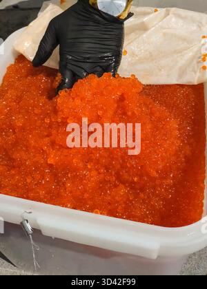 Eier mit einem Handschuher mischen. Roter Kaviar in einem Plastikbehälter. Lachskaviar, Diätkost. Stockfoto