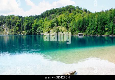Flachwasser und Strand am klaren Alpsee, Bayerische Alpen Stockfoto