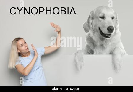 Verängstigte Frau, die an Zynophobie leidet, hellgrauer Hintergrund. Pathologische Angst bei Hunden Stockfoto