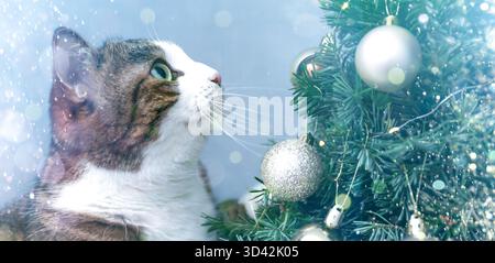 Weihnachtskarte mit niedlicher Katze, die Tannenbaum mit festlichen Ornamenten sieht. Bannerdesign Stockfoto