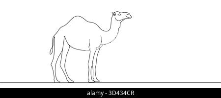 Eine Linienzeichnung eines Kamels auf weißem Hintergrund. Bearbeitbare Zeile Stock Vektor