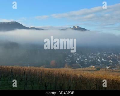 Deutschland, magischer farbenfroher Herbstmorgen nach Sonnenaufgang in den Weinbergen der Stadt beuren, Blick auf die historische Burgruine hohenneuffen Panorama Naturlandschaften Stockfoto