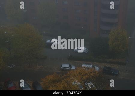 Herbststraße von oben mit bunten gelben Bäumen und geparkten Autos am nebeligen Morgen Stockfoto