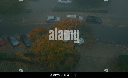 Herbststraße von oben mit bunten gelben Bäumen und geparkten Autos am nebeligen Morgen Stockfoto