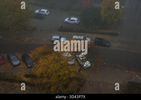 Herbststraße von oben mit bunten gelben Bäumen und geparkten Autos am nebeligen Morgen Stockfoto