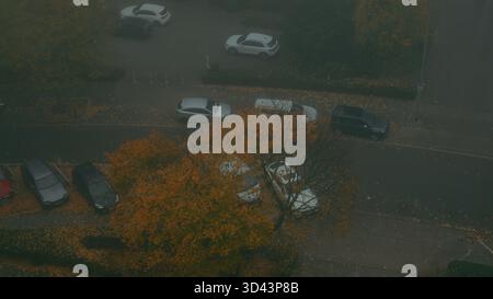 Herbststraße von oben mit bunten gelben Bäumen und geparkten Autos am nebeligen Morgen Stockfoto