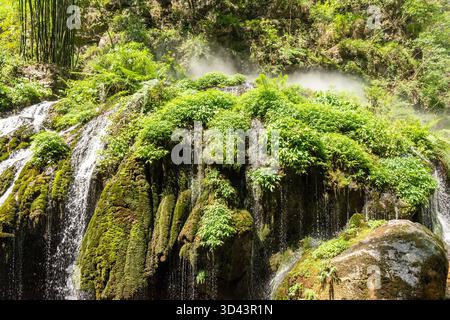 Ein bezaubernder kleiner Wasserfall, der über moosige Felsen fließt, inmitten üppigen Grüns, schafft eine friedliche und natürliche Szene in einer lebendigen Gartenumgebung. Stockfoto