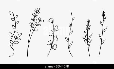 Natur Leaves Line Art Drawing Collection Einfaches Botanisches Elementset.Vektor-Illustration Stock Vektor