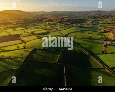 Wetter in Großbritannien: Klarer Himmel und sinkende Temperaturen heute Abend, als die Sonne über der Clwydian Range und dem ländlichen Flintshire in der Nähe des Dorfes RHES-y-CAE, Nordwales, 8. November 2025 , Flintshire, Wales ©DGDImages/Alamy Live News Stockfoto