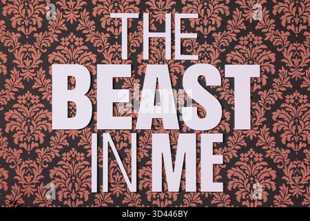 HOLLYWOOD, LOS ANGELES, KALIFORNIEN, USA - NOVEMBER 07: Ein allgemeiner Blick auf die Atmosphäre beim Netflix FYSEE: The HerbstEdit - 'The Beast in Me' Season 1 FYC (for your Review) Event am 7. November 2025 im Netflix Tudum Theater in Hollywood, Los Angeles, Kalifornien, USA. (Foto: Xavier Collin/Image Press Agency) Stockfoto