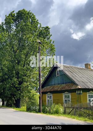 Ein Storch sitzt auf einem Pfosten in der Nähe eines alten Dorfhauses vor dem Hintergrund eines großen Baumes. Im belarussischen Dorf Stockfoto