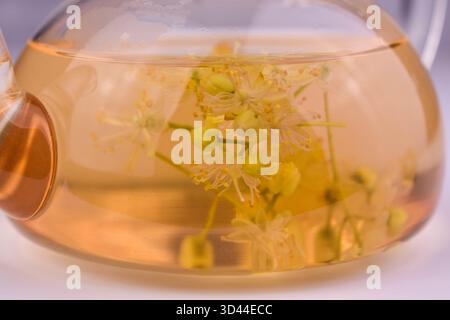 Aromatischer Lindenblütentee in einer transparenten Teekanne. Nahaufnahme des Tees. Stockfoto