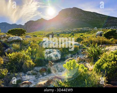 Zerklüftete Berglandschaft mit Fynbos-Flora in Kapstadt, Südafrika Stockfoto