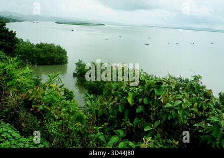 Bedeckter Himmel über einem breiten, ruhigen Fluss mit verstreuten Booten. Üppiges grünes Laub füllt den Vordergrund und umgibt das Wasser. Stockfoto