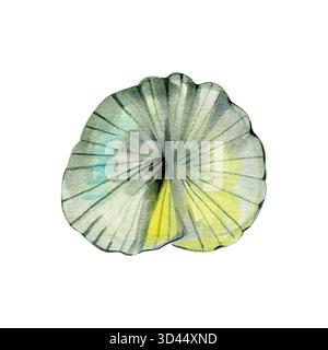 Zartes Lotusblatt in Graugrün-Tönen mit sanften Details. Ideal für Naturdrucke, Zen-Kompositionen, minimales botanisches Dekor und Blumenmuster Stockfoto