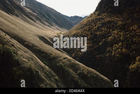 Dramatisches, tiefes Bergtal im Juta Valley in Georgia, mit steilen Hängen bedeckt mit trockenem, goldenem Herbstgras und dunklen Wäldern Stockfoto