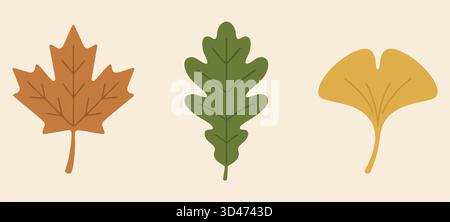 Ein horizontales Banner zeigt drei Herbstsymbole, darunter Ahorneiche und Ginkgo-Formen Stock Vektor
