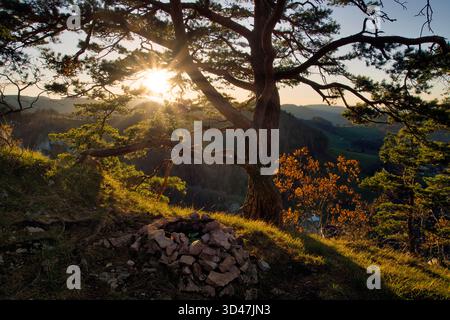 Die berühmte Ruine Gilgenberg in Zullwil SO, Schweiz. Vom Portiflue aus gesehen. Stockfoto