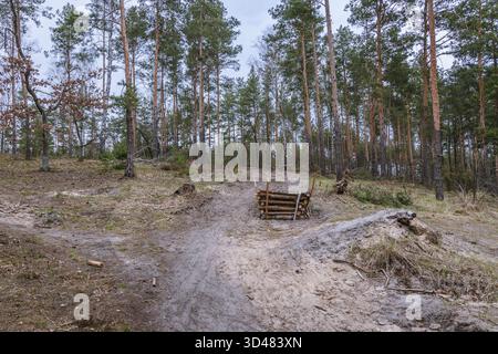 Wanderwege im Wald im Bezirk Bialoleka am Rande der Stadt Warschau, Polen Stockfoto