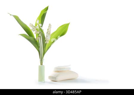 Lily aus dem Tal blüht, isoliert auf weißem Hintergrund. Mai, Tag der Arbeit. Stockfoto