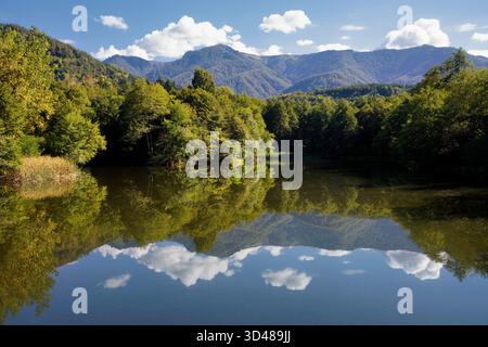 Sommerwaldlandschaft Reflexion auf dem Wasser im Bulgarischen Nationalpark Stockfoto