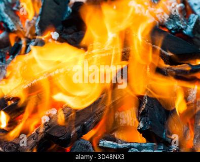 Das Lagerfeuer brennt, Nahaufnahme. Das Brennholz brennt. Helles Feuer Stockfoto