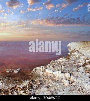 Rosa extrem salziger Syvash Lake, gefärbt von Mikroalgen mit kristallinen Salzablagerungen. Auch bekannt als das faulige Meer oder das faule Meer. Ukraine, Region Cherson, bei Krim und Arabat Nehrung. Stockfoto