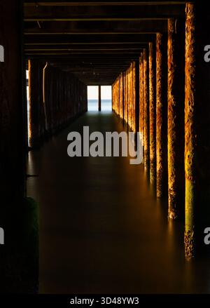 Unter dem Southwold Pier bei Sonnenaufgang mit warmem Licht, das die Stützpfeiler beleuchtet Stockfoto