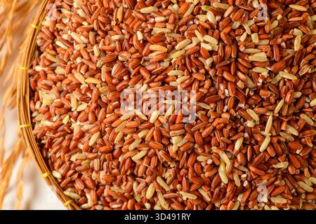 Nahaufnahme von Bio-braunen Reiskörnern in einem Bambuskorb mit goldenen Reisstielen auf weißem Hintergrund. Perfekt für Konzepte der Landwirtschaft Stockfoto