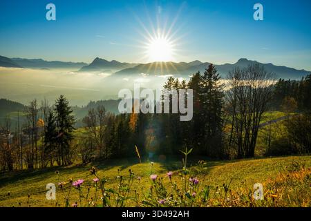 Abendsonnenstrahlen Beleuchten Das Nebelige Inntal Mit Herbstbäumen In Tirol, Österreich. Ferne Berge Und Blumen Im Vordergrund. Stockfoto