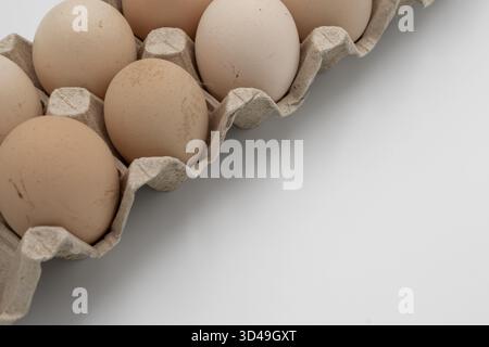 Zehn braune Hühnereier in einem Karton auf weißem Hintergrund Stockfoto