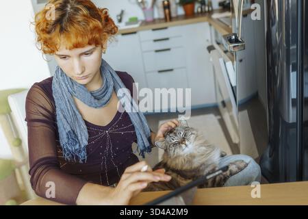 Porträt einer jungen Frau mit Tablet, mit dem Stift auf dem Touchscreen zeichnen, flauschige graue Katze auf ihrem Schoß sitzen, Haustier, Freundschaft, alles tun, um zu bekommen Stockfoto