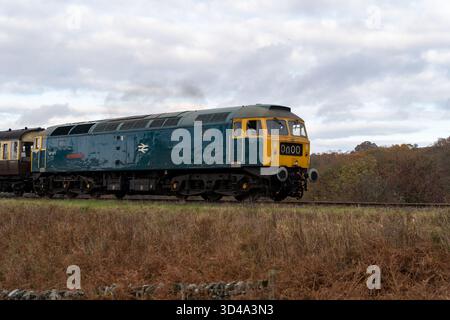 Blaue und gelbe Diesellokomotive im Herbst, North Yorkshire Moors Railway Stockfoto