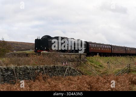 Fliegende Scotsman-Dampflokomotive, die Yorkshire Moore mit Personenwagen überquert Stockfoto