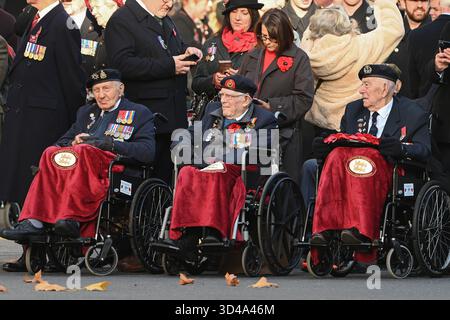 London, Großbritannien. November 2025, London UK.. Jedes Jahr schließen sich Mitglieder der britischen Königsfamilie Politikern, Veteranen und Mitgliedern der Öffentlichkeit im Cenotaph in Whitehall an, um an diejenigen zu erinnern, die im Kampf ums Leben gekommen sind. Veteranen versammeln sich in Whitehall, um an der Erinnerung teilzunehmen. Quelle: MartinJPalmer/Alamy Live News Stockfoto
