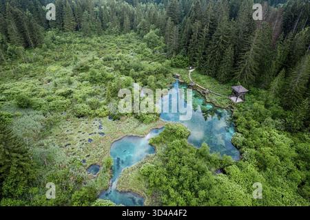 Naturschutzgebiet Zelenci in Slowenien. Bergfeuchtgebiete mit türkisfarbenem See, seltenen Pflanzen und Watvögeln. Drohnenansicht aus der Luft, Slowenien Stockfoto