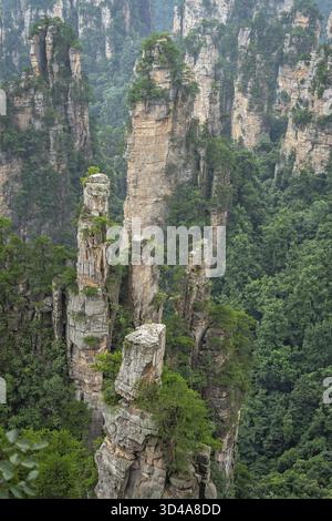 Vertikale Ansicht der steinernen Säulen der Tianzi Berge in Zhangjiajie National Park ist eine berühmte Touristenattraktion, Landschaftspark Wulingyuan gelegen, Provinz Hunan, Stockfoto