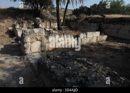 Östlicher Teil von Khirbet Minya, erbaut vom Kalifen Al Walid der Umayyaden aus dem 8. Jahrhundert am Ufer des Sees von Galiläa als Winterrückzugsort und Verwaltungszentrum. Stockfoto