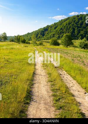 Feldweg durch das Feld in den Bergen. Schöne ländliche Landschaft der ukraine im Sommer. Malerischer Blick auf eine grüne Landschaft unter blauem Himmel wi Stockfoto