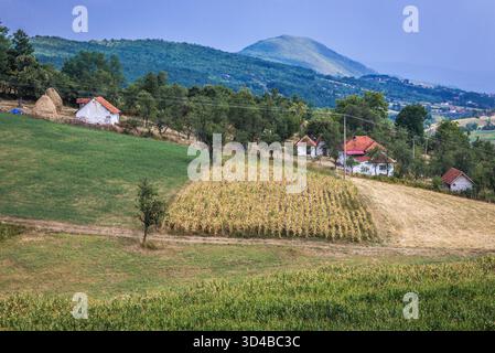 Ländliche Gebiet von Zlatibor bergige Region im westlichen Teil von Serbien Stockfoto