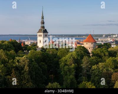 Luftaufnahme in Tallinn, Estland Stockfoto