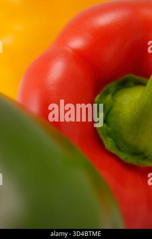 Frische grüne, rote, gelbe Bio-Paprika, große, detaillierte vertikale Makroaufnahme, leeres, farbenfrohes Kopierfeld, sanfte Bokeh-Studioaufnahme Stockfoto