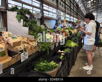 Carriageworks Farmers Market in Sydney, Australien, bietet eine große Auswahl an frischem Gemüse, Kräutern und Produkten aus der Region Stockfoto