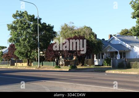 Temora, NSW, Australien. November 2025. Hoskins Street, Temora. Quelle: Richard Milnes/Alamy Stockfoto
