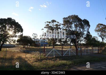 Temora, NSW, Australien. November 2025. Temora Showground. Quelle: Richard Milnes/Alamy Stockfoto